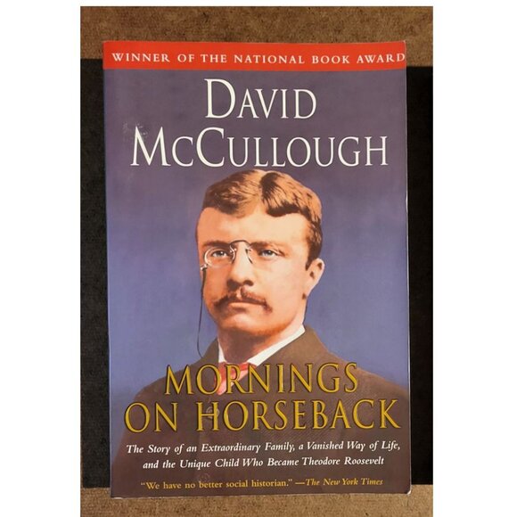 David McCullough MORNINGS ON HORSEBACK and The GREAT BRIDGE paperback books - Picture 2 of 5